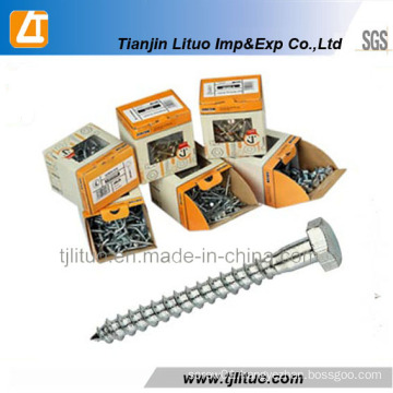 Good Wood Screws/ DIN571 Wood Screws